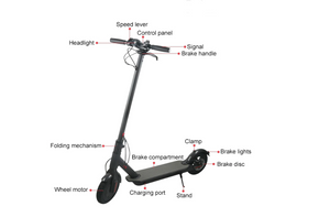 City Bob LV1 eScooter - Elektroroller by electric evolution